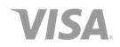 Visa Logo logo