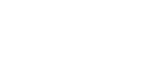 Translink Logo logo